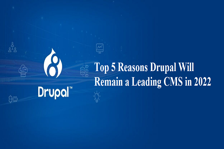 Drupal_will_remain_a_leading_CMS