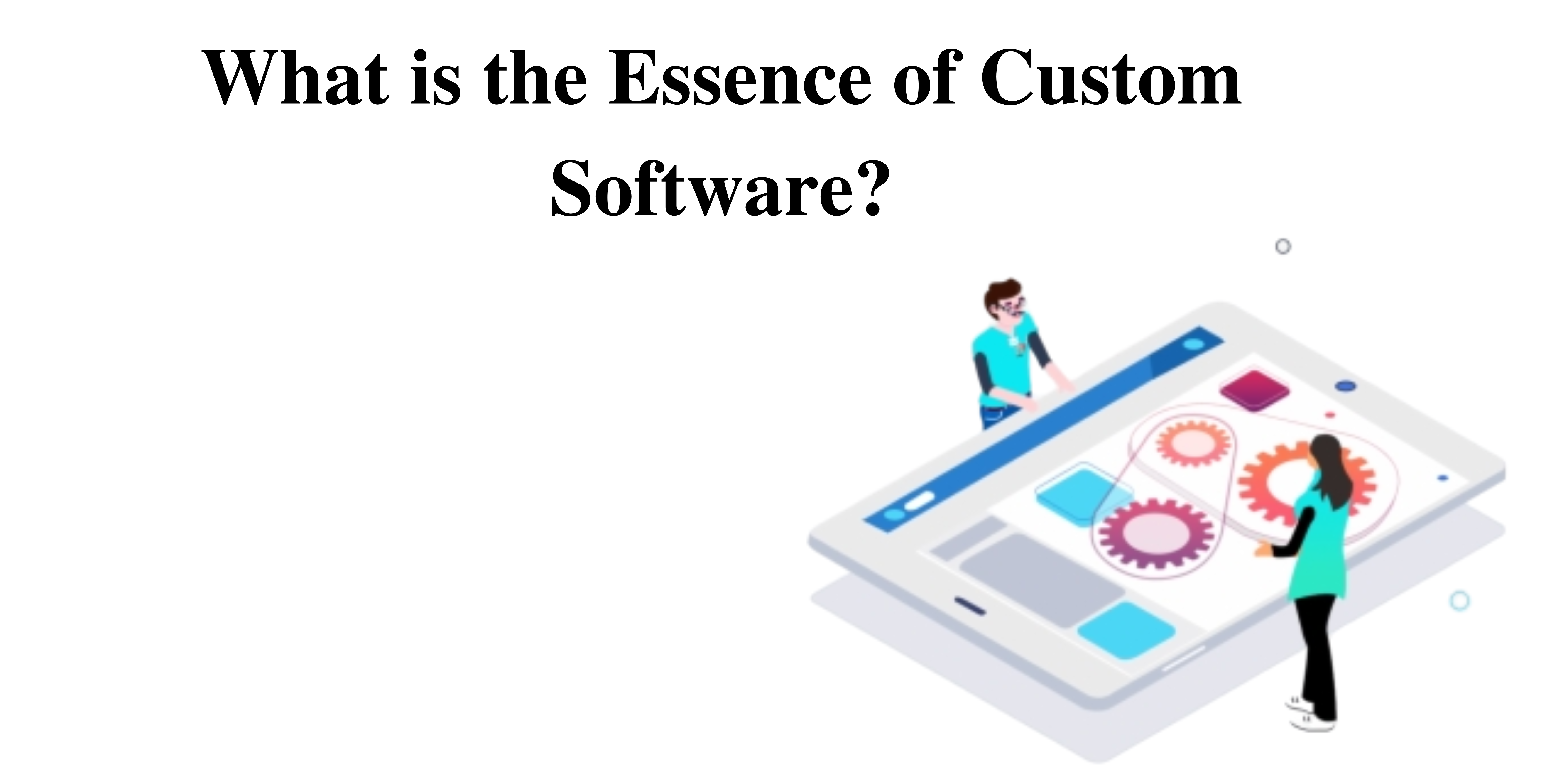 What is the Essence of Custom Software?
